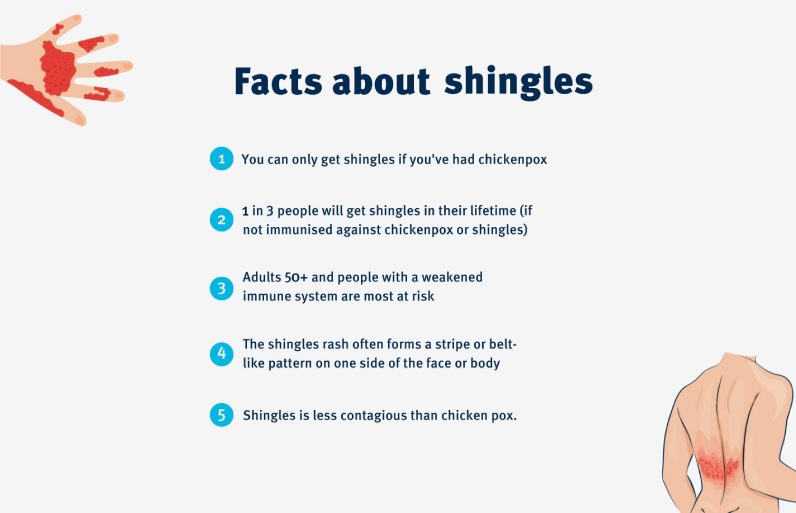 درباره زونا