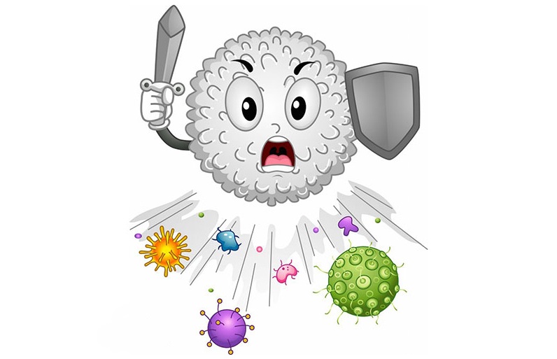 راه های تقویت سیستم ایمنی بدن
