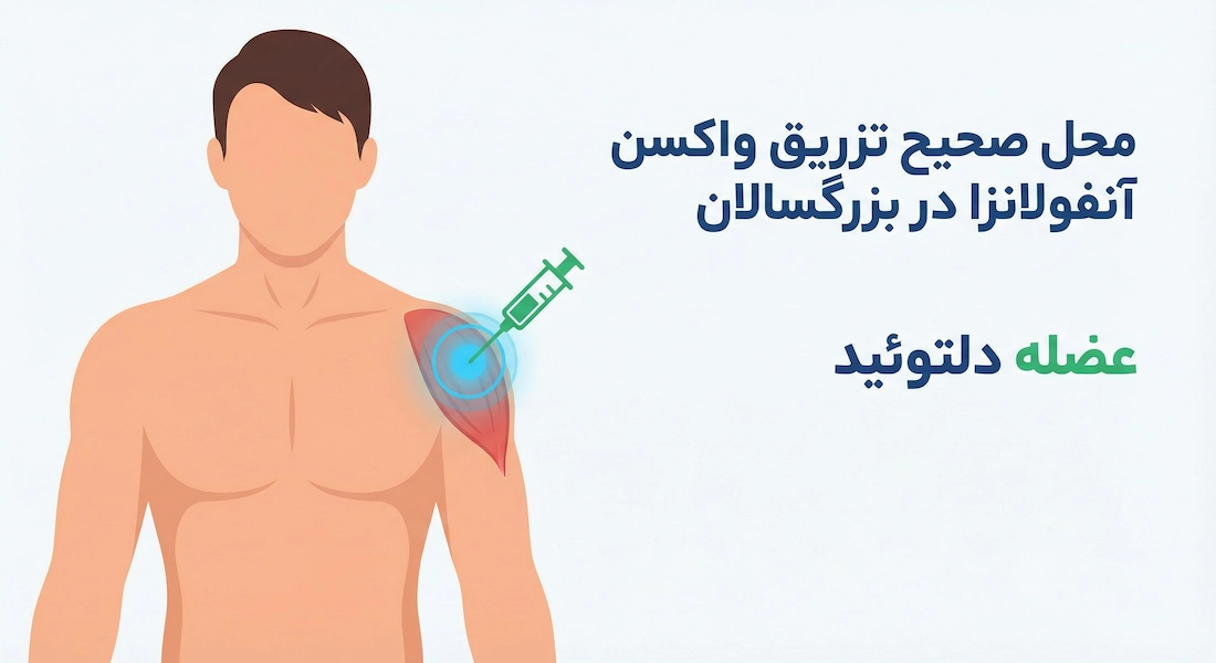 عضله دلتوئید