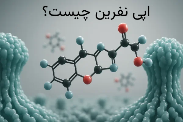 اپی نفرین چیست