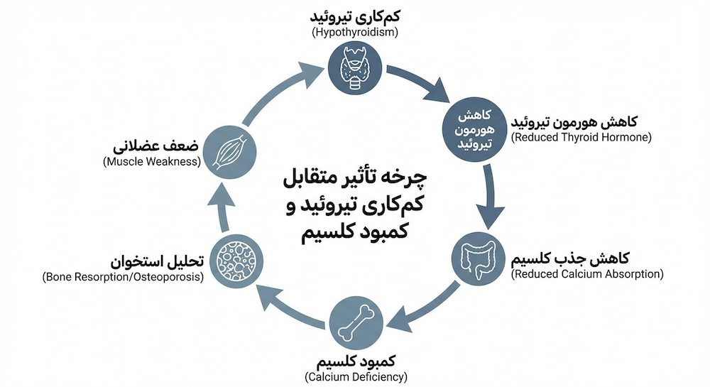 چرخه تاثیر متقابل