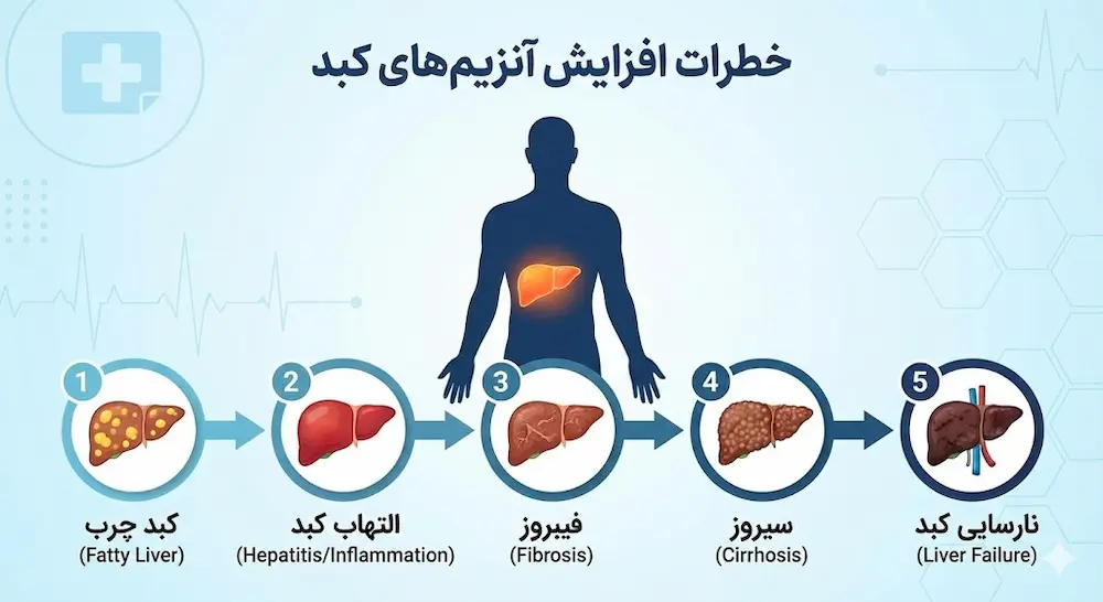 خطرات ناشی از بالا رفتن آنزیمهای کبد